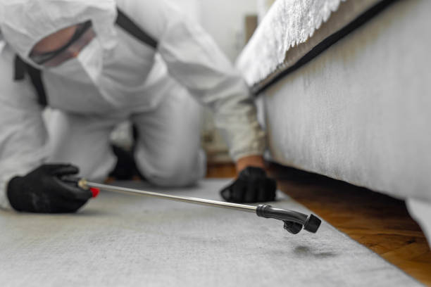 Professional Bed Bug Control technician working in Hampshire, IL