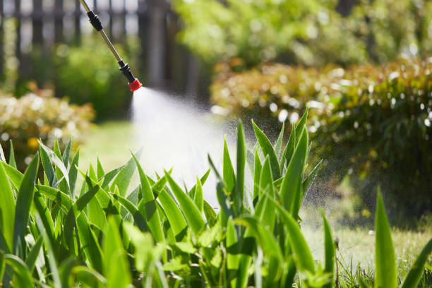 24/7 Emergency Bed Bug Control experts in Hampshire, IL